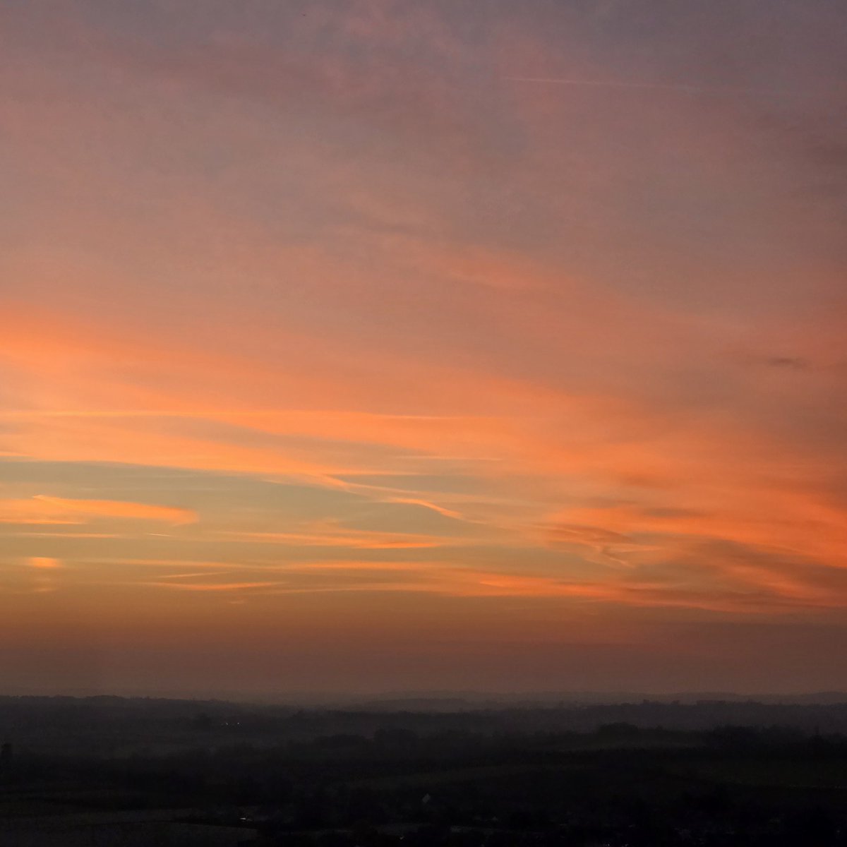 SleeplessInSomerset tweet media