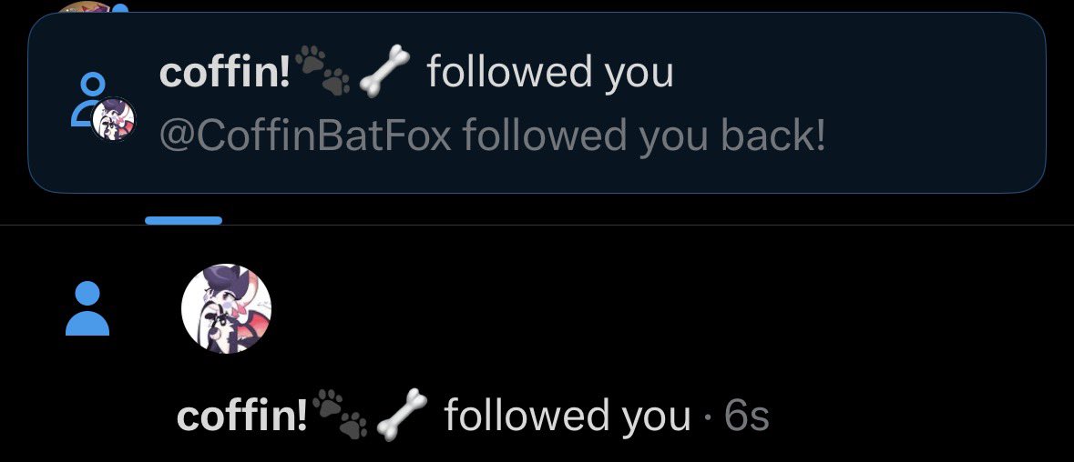 coffin!🐾🦴 tweet media