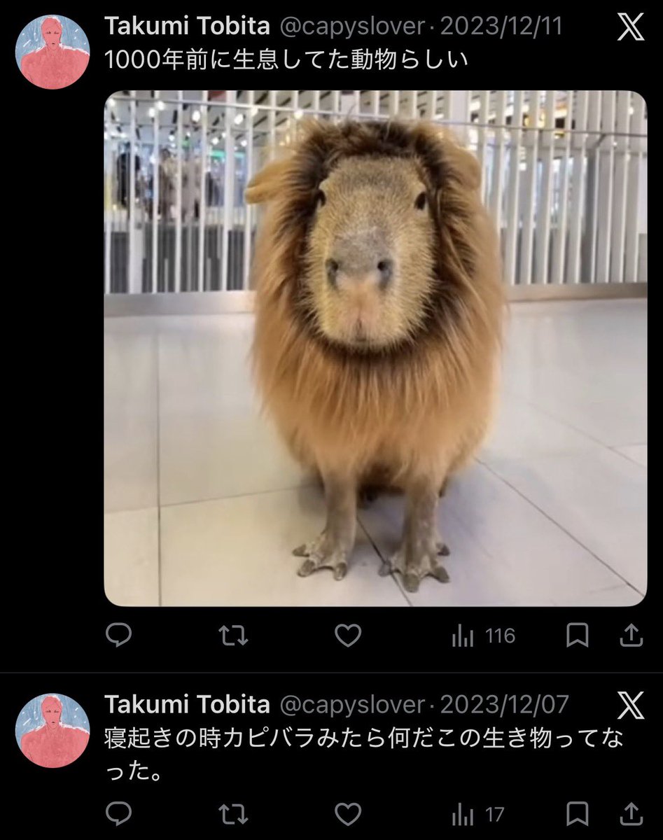 Takumi Tobita tweet media