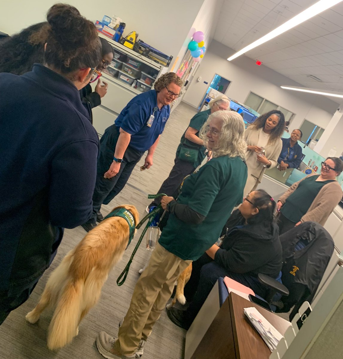 HCSOTexas tweet media