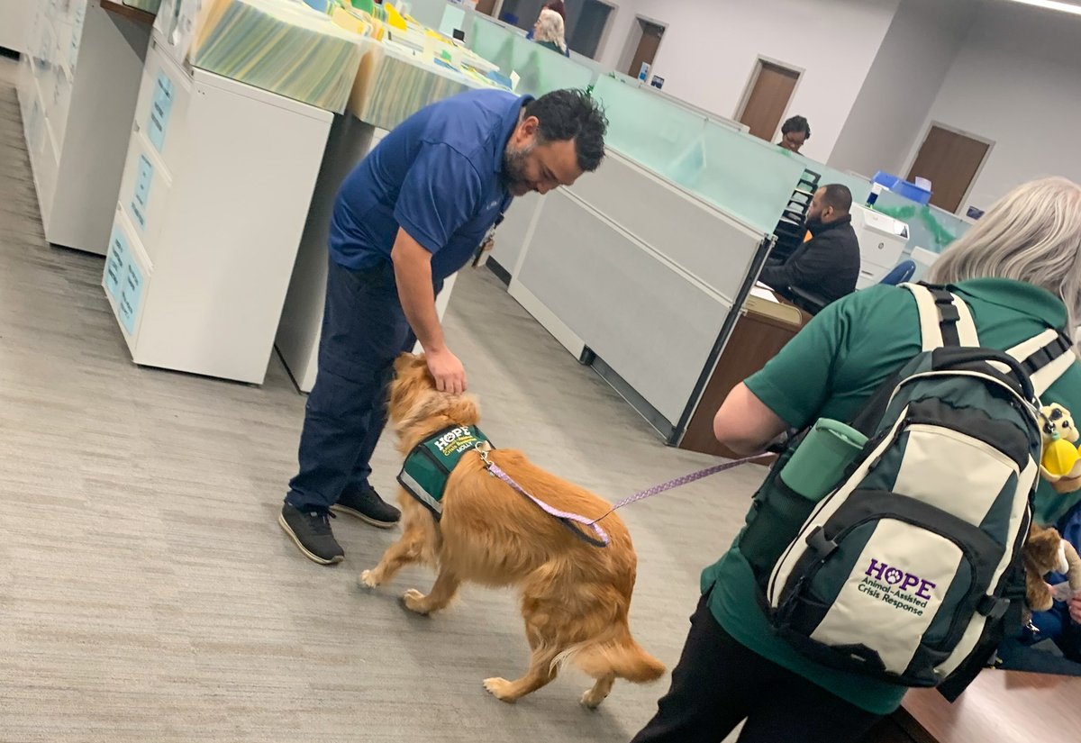 HCSOTexas tweet media