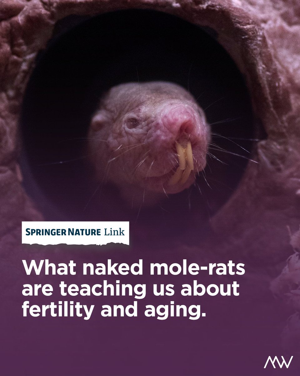 Magee-Womens Research Institute & Foundation tweet media