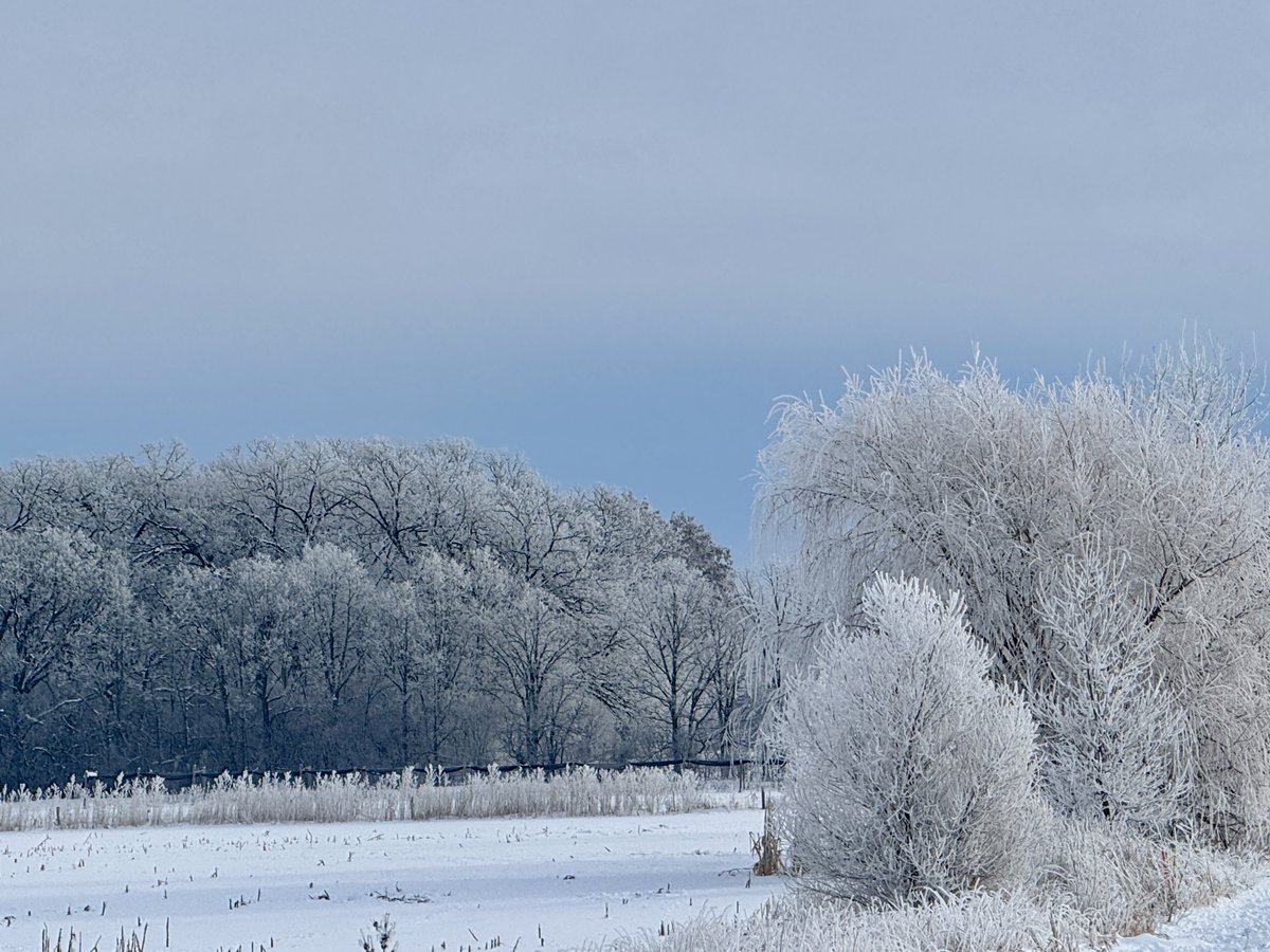 Standard Process Inc tweet media