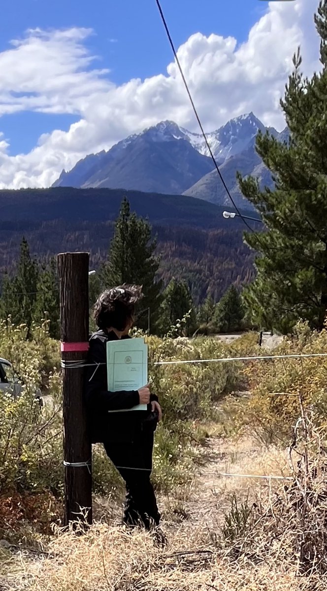 Silvio con moñito 🎀 tweet media