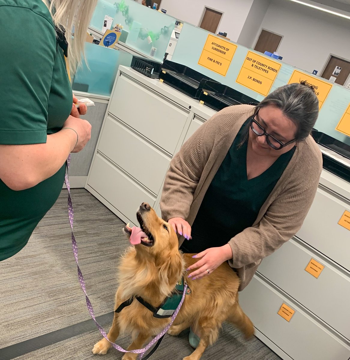 HCSOTexas tweet media