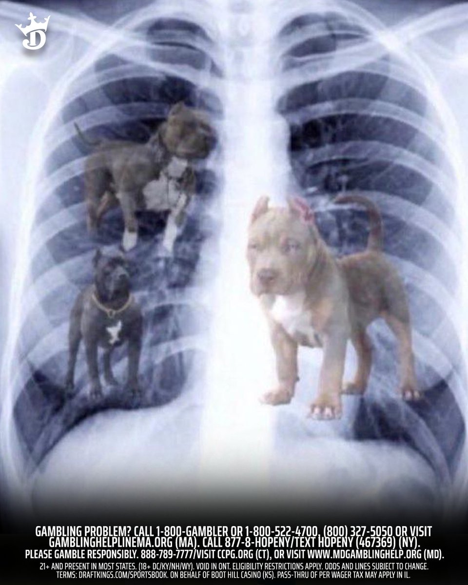 DraftKings Sportsbook tweet media