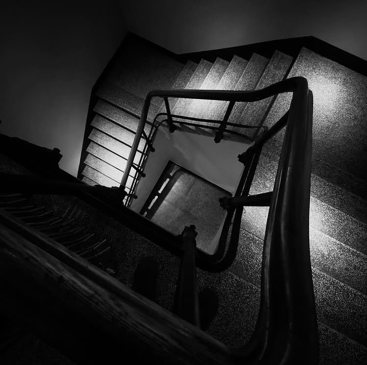 marysocontrary tweet media