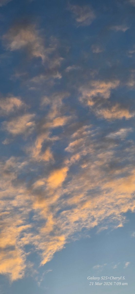 Cheryl Scheffer tweet media