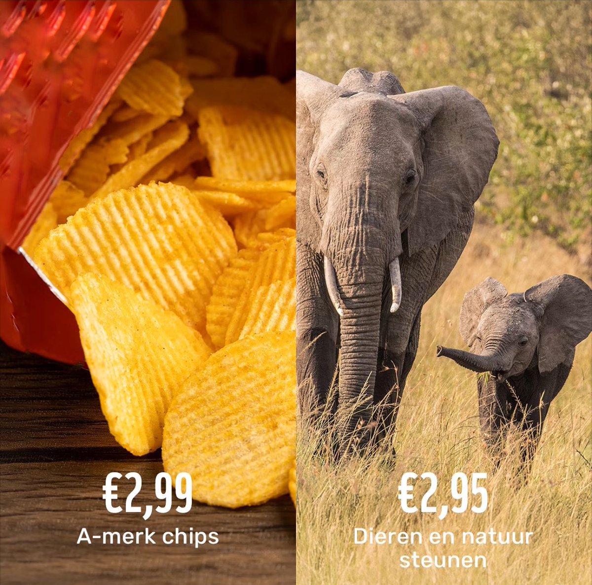 No Context Dutch 🇳🇱 tweet media