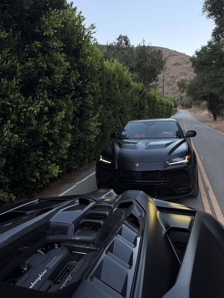 Bruca ✰ tweet media