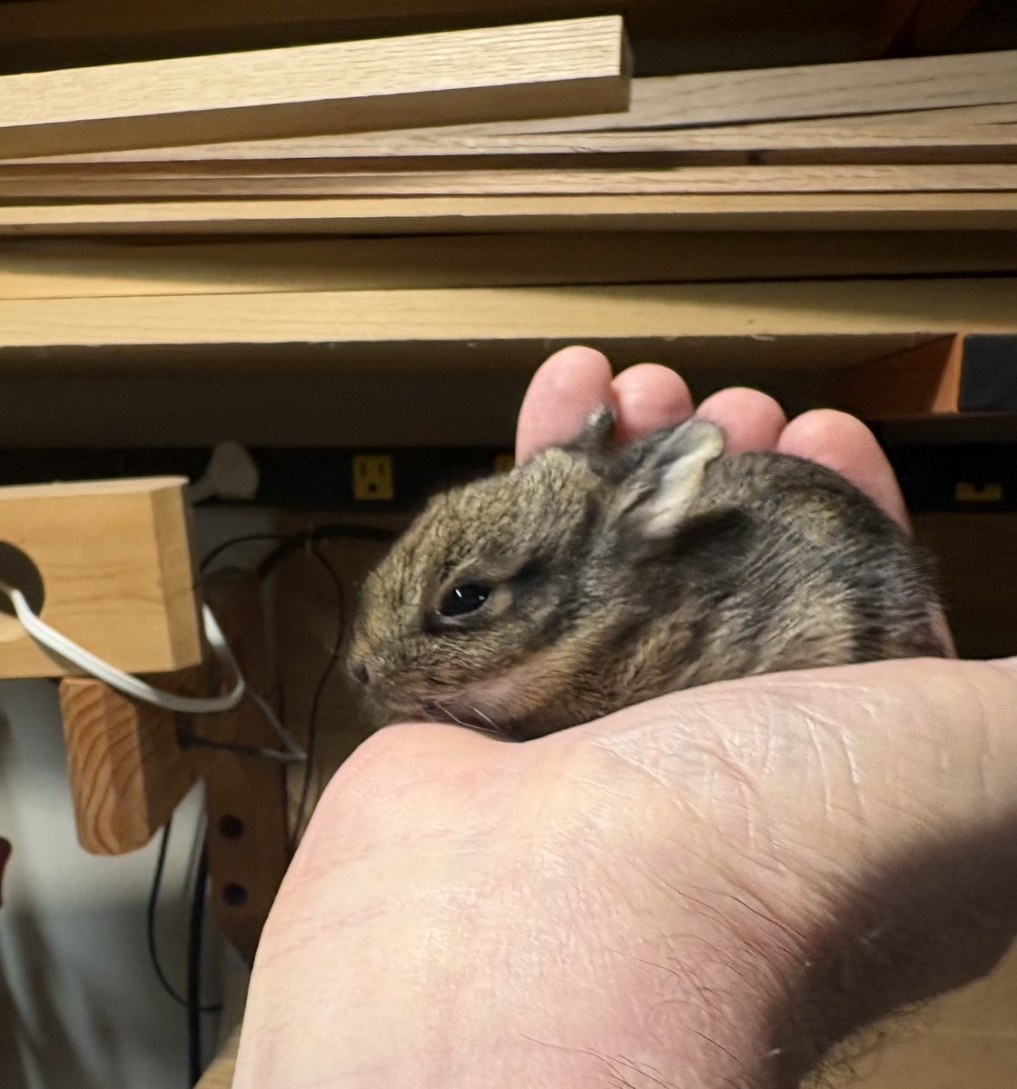 J. Lance Acree tweet media