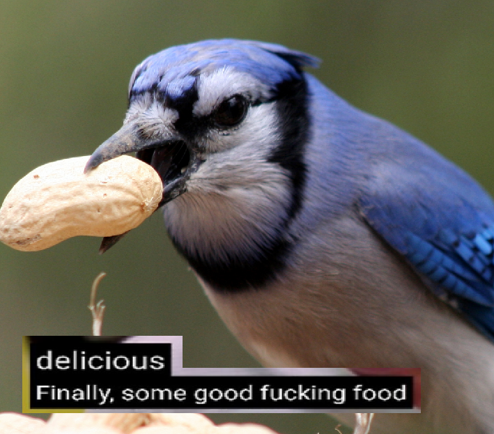 Ja̤grễus tweet media