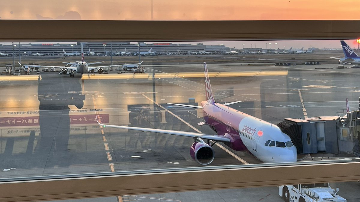 そよ💰 tweet media