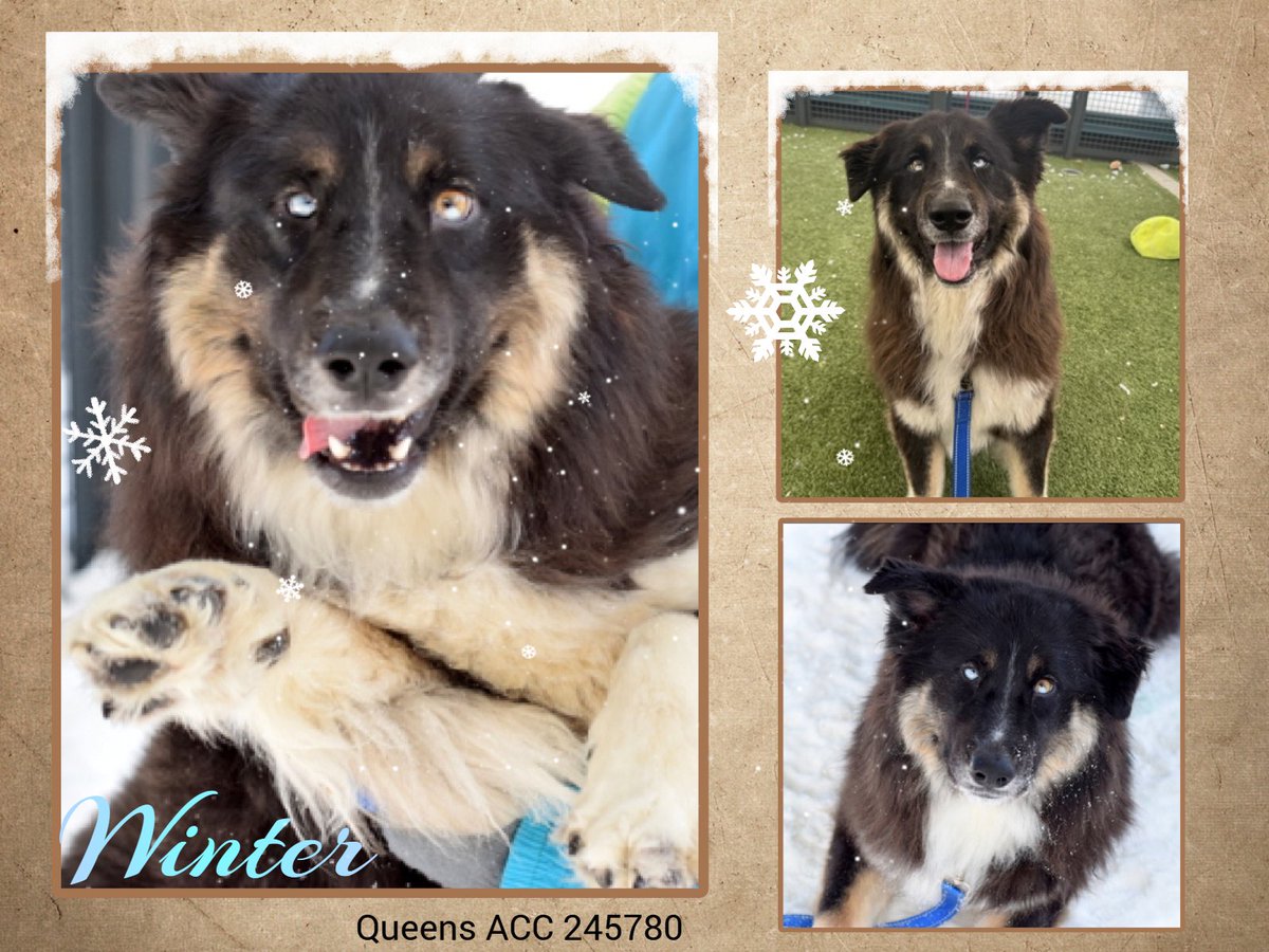 Not the Same tweet media