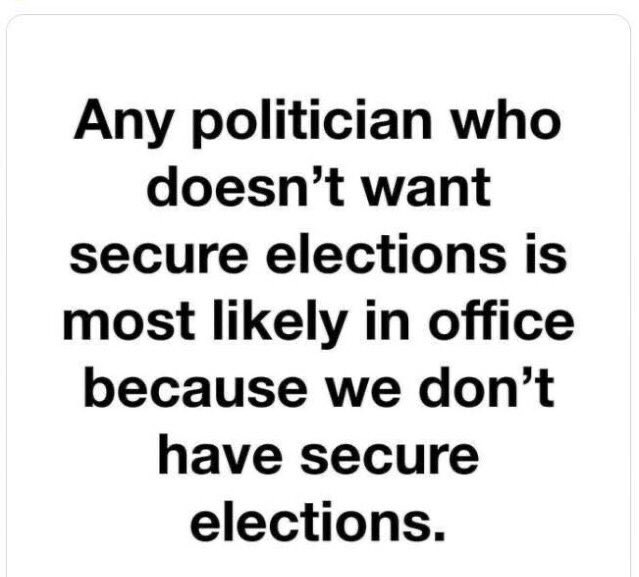 Fat💛Canary tweet media