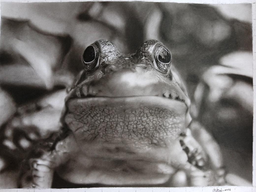 Jsai arts tweet media