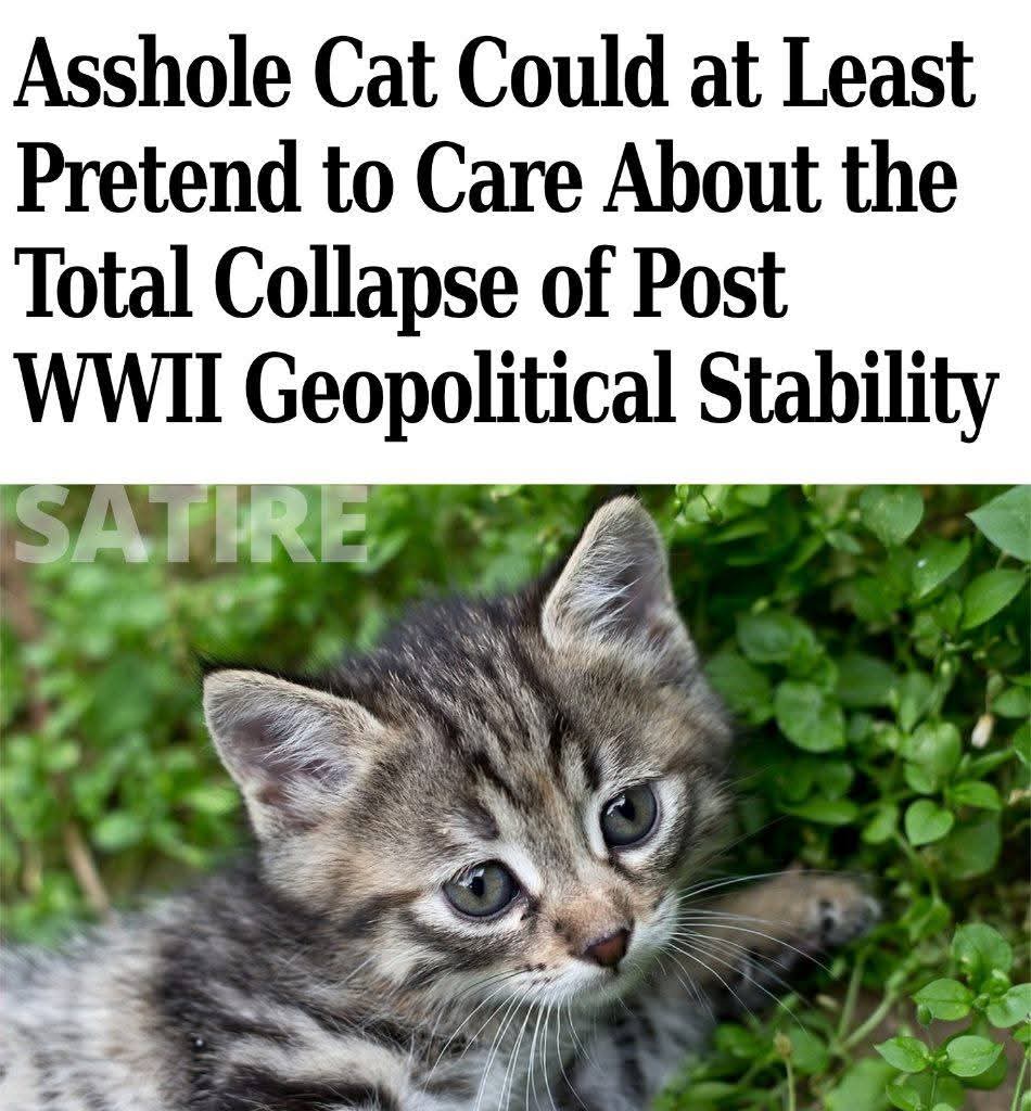 Clyde The Vatnik Tamer. Antifa™ tweet media