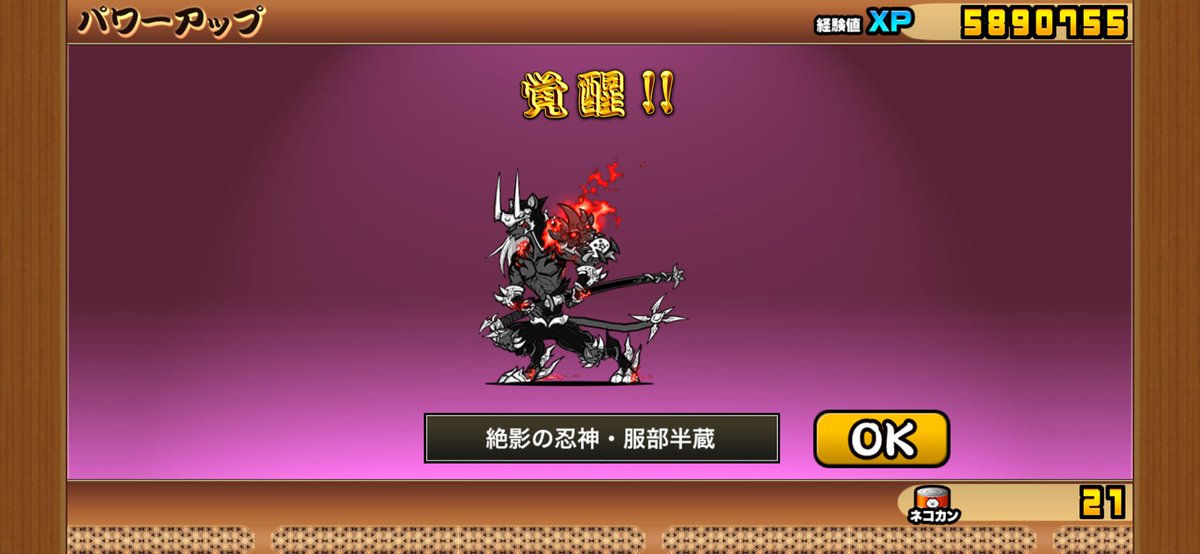 キジトラ tweet media