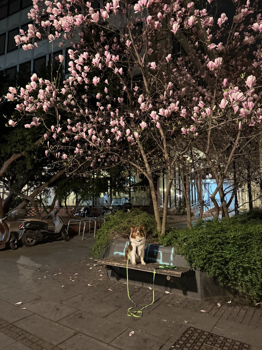 Кооператив Заjечарско спонсирует университет tweet media