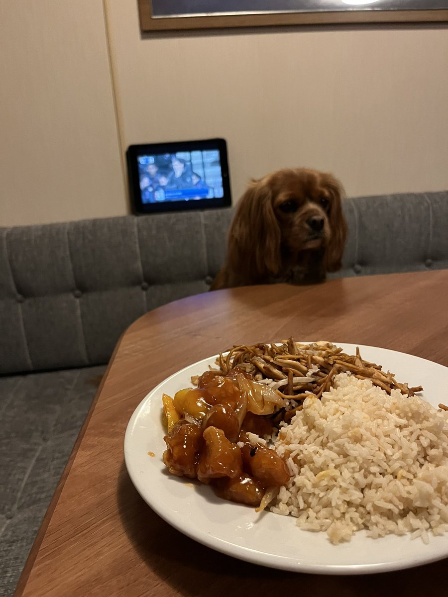 rob sellers🇾🇪 tweet media