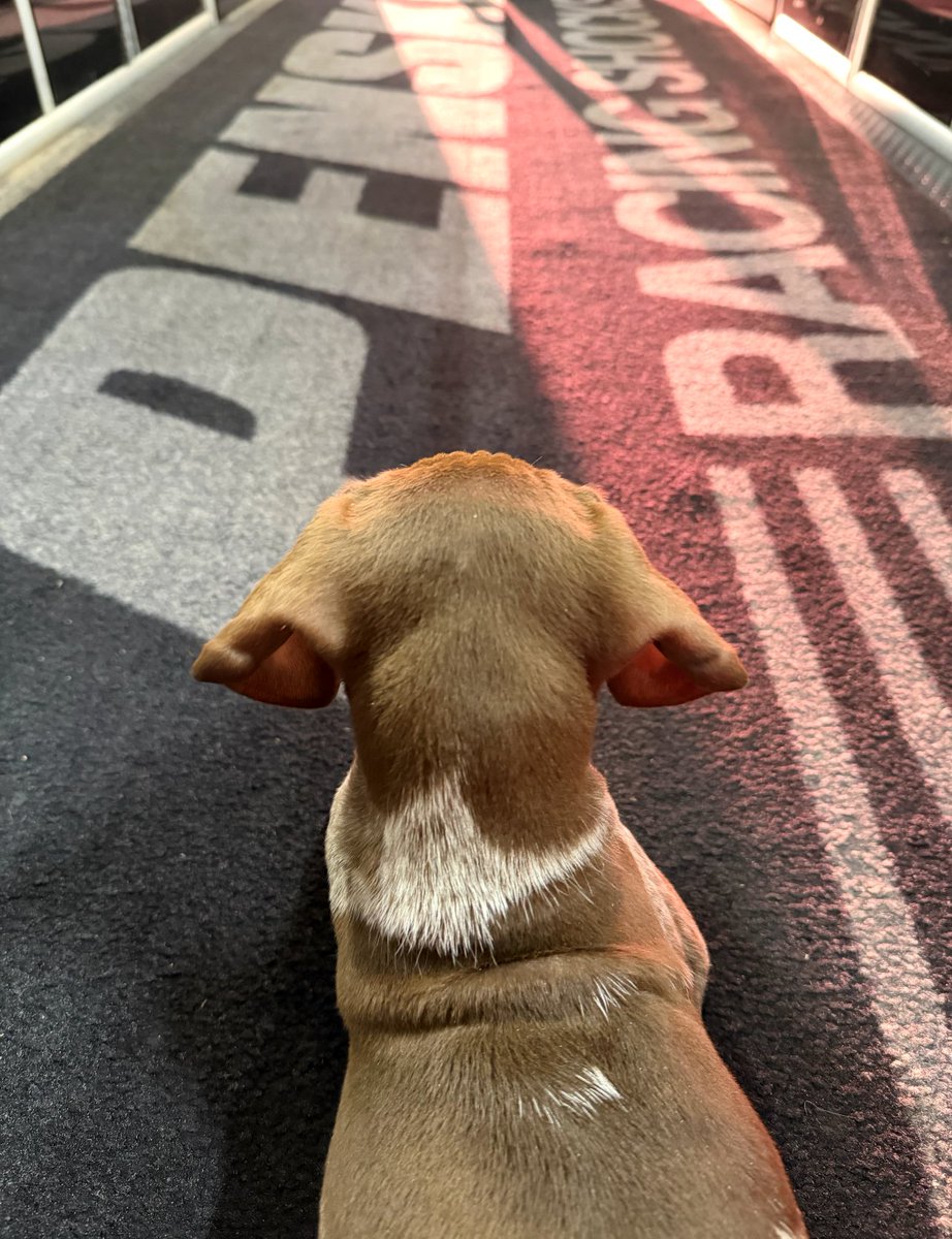 Penske Racing Shocks tweet media