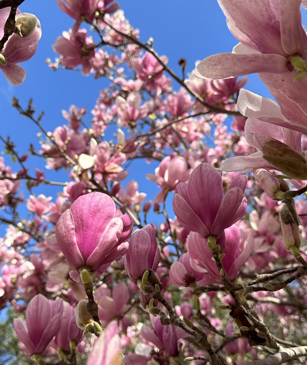 Ricky 🫑🍵 tweet media