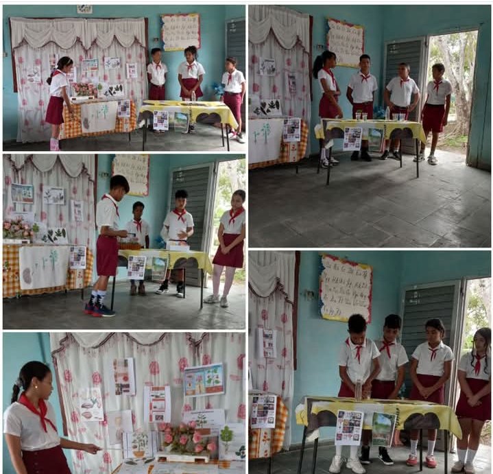 CuetoEducadores's tweet photo. Los educandos  de  6⁰B del S/I Antonia Riera Castillo demostraron sus habilidades en Trabajo  Práctico  Experimental   de Ciencias Naturales, con muy buena preparación y calidad.
FELICIDADES PARA TODOS. (De su maestra Isabel Maria Rodríguez González) @CubaMined @CuetoEducadores https://t.co/0GIgysddo6