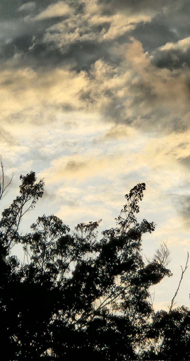 Ana Erlene tweet media