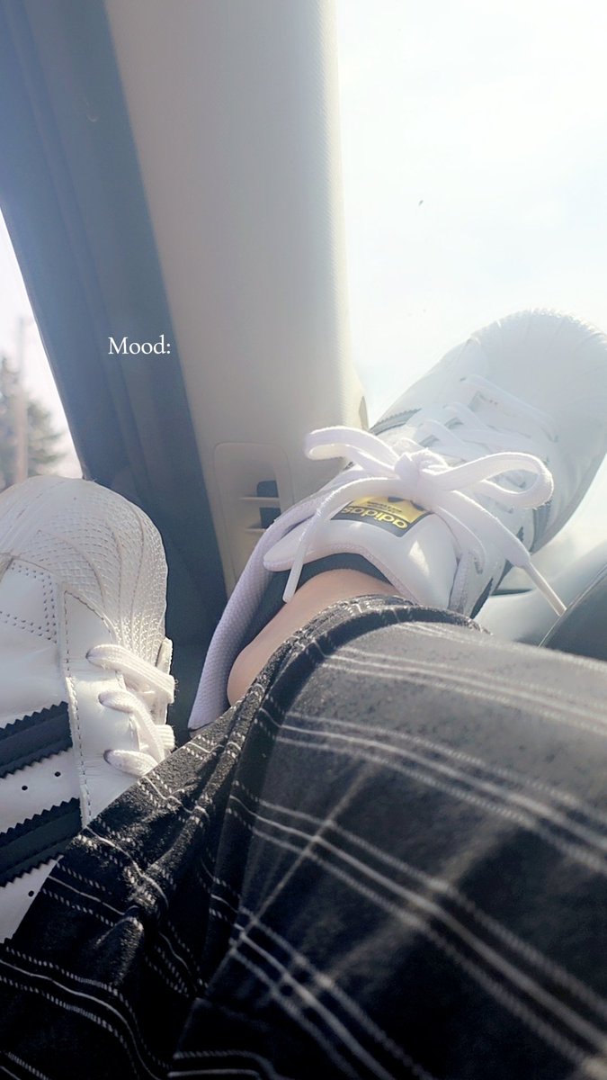 TheArtistDae tweet media