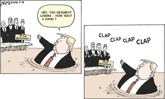 Jaline😷🇺🇦🍁 tweet media