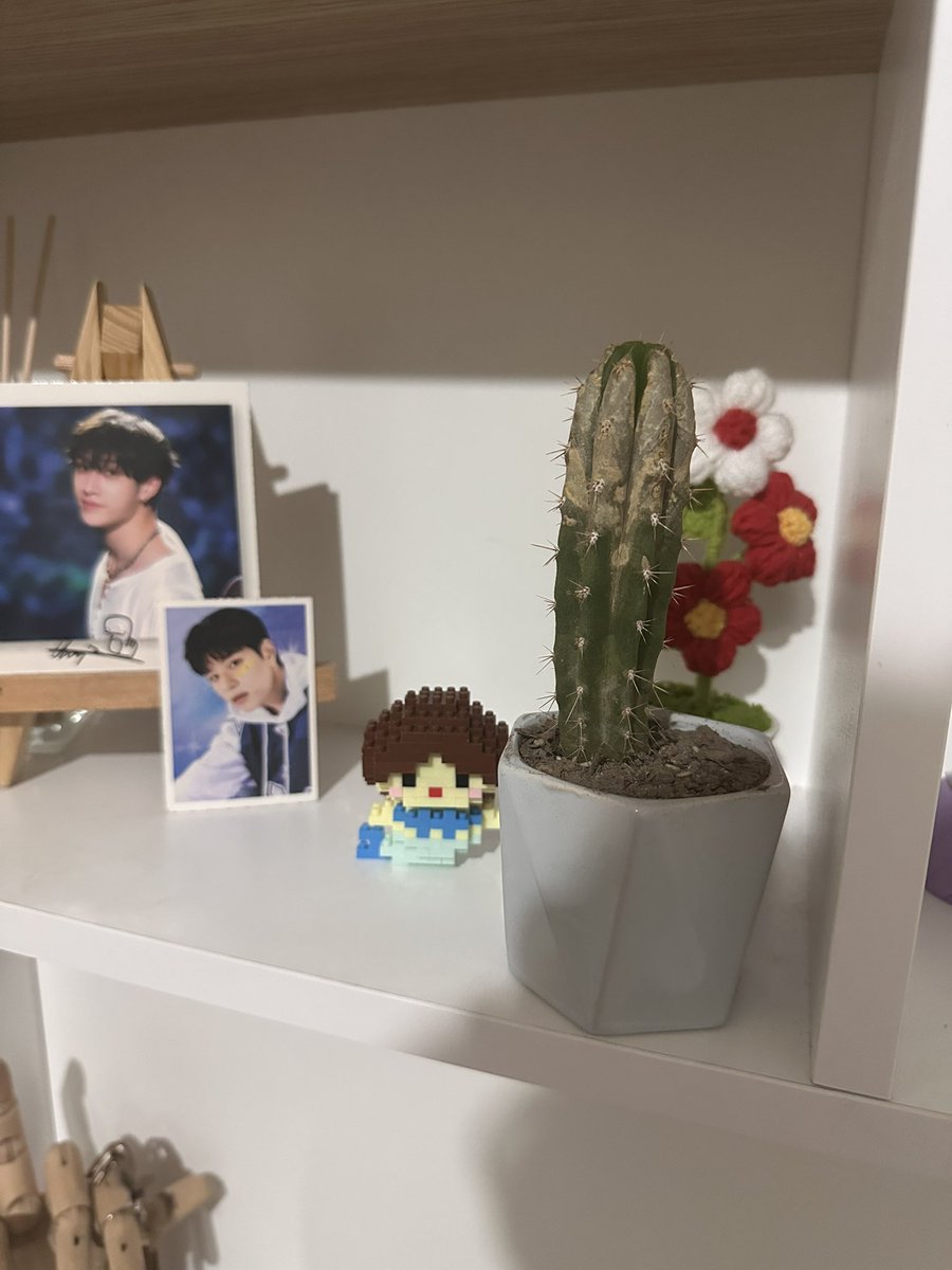 kaktusu oldurmusuz resmen amkk sakami?? biasimi biraz fazla mi belli ediyorum ben sanki ne??

LET ENHYPEN CREATE
#PROTECT_OUR_SEVEN
#LET_ENHYPEN_CREATE
#ENHYPEN_LEE_HEESEUNG
#FairTreatmentForNI_KI