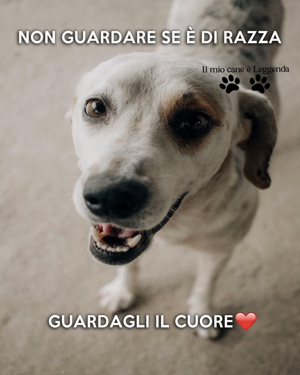 Patrizia💙 tweet media