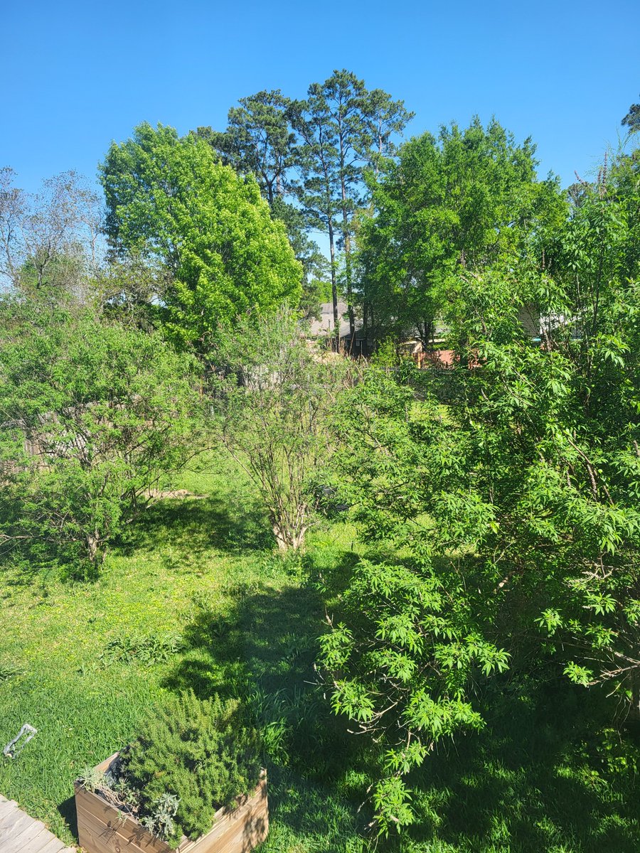 System_Normal tweet media