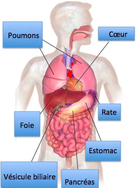 Marc Gozlan tweet media