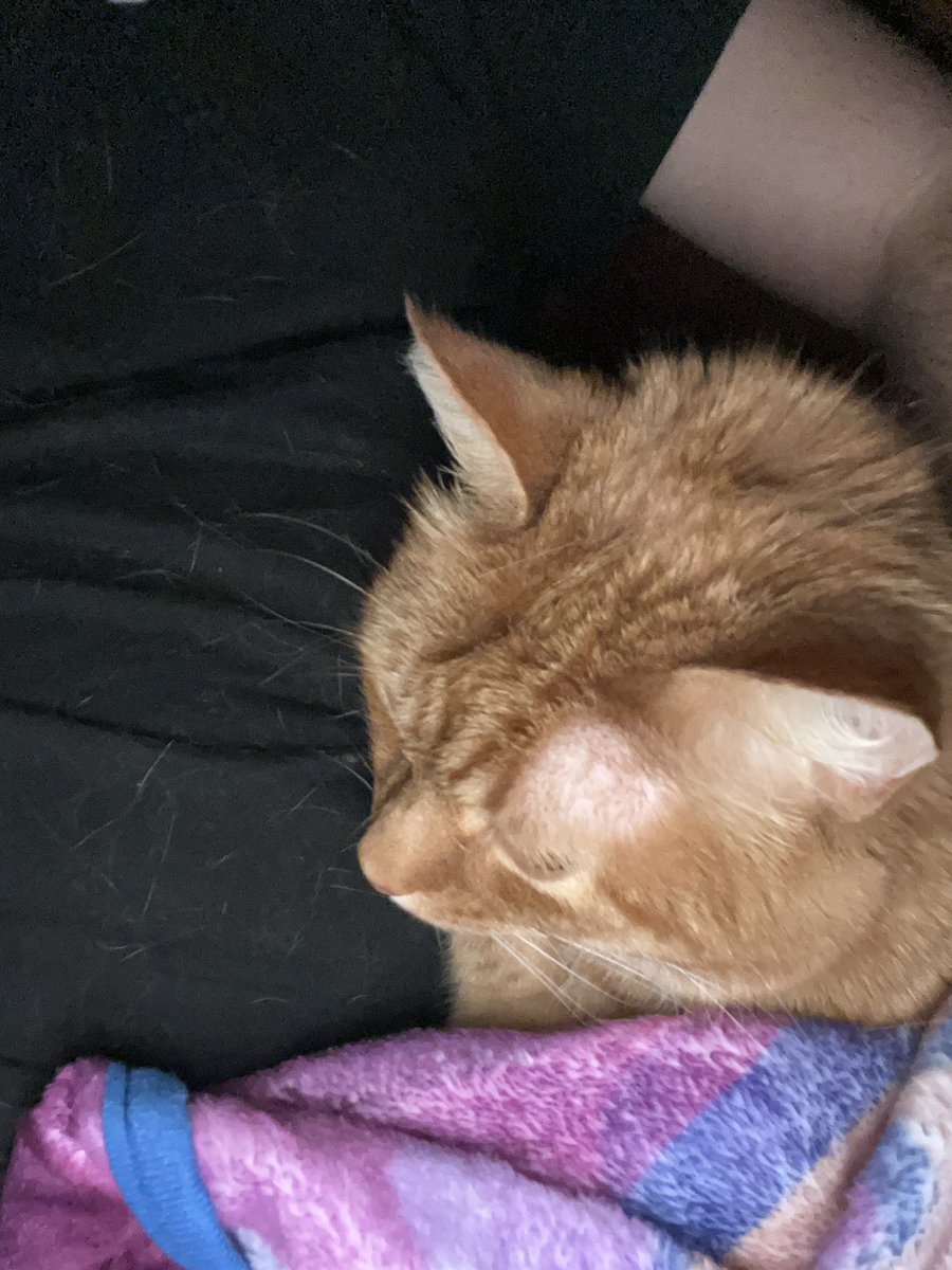 febkai04's tweet photo. Updating my pin !

Not active on here much anymore but I interact often, I play OW, MR, Sonic games, Yugioh, HSR, Dokkan Battle, getting into Slime Rancher and other single player games

If u follow I’ll follow back if I catch the notif https://t.co/jzmLmelwJ5