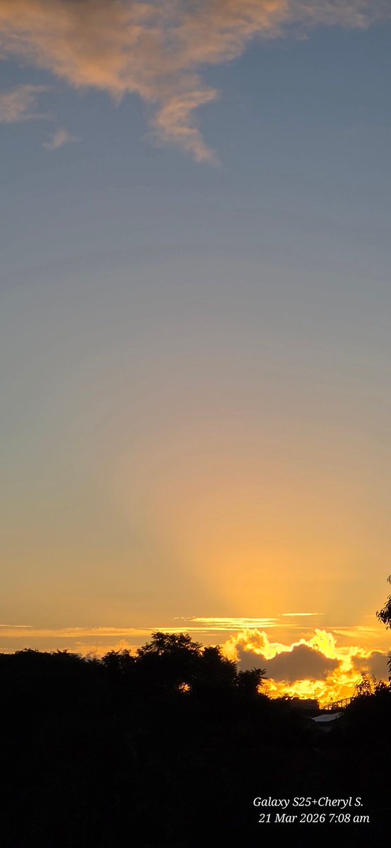 Cheryl Scheffer tweet media