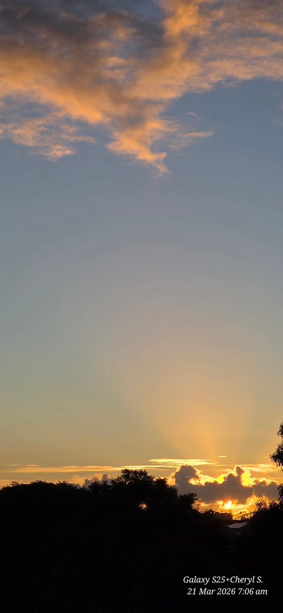 Cheryl Scheffer tweet media