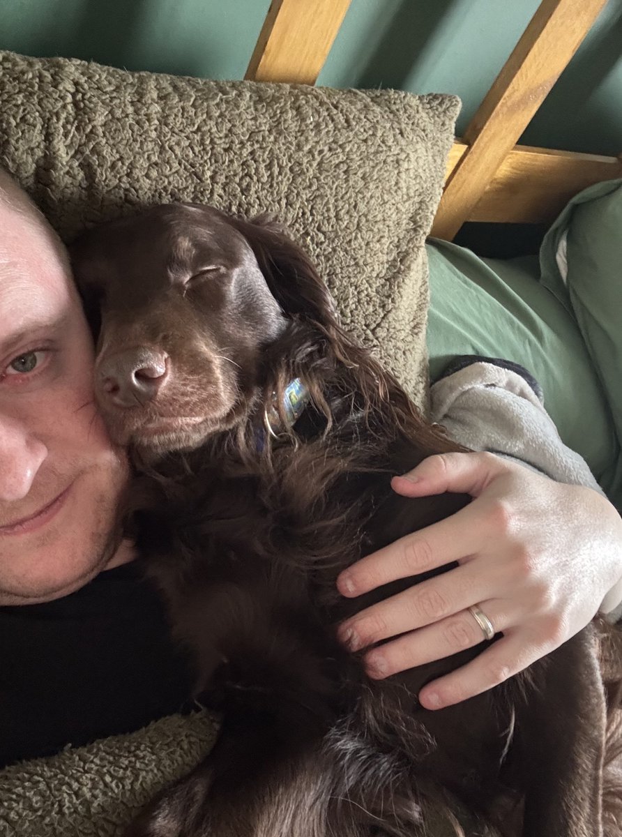 Adventures of Cooper & Orla | Mum & Dad | 8 Cats tweet media