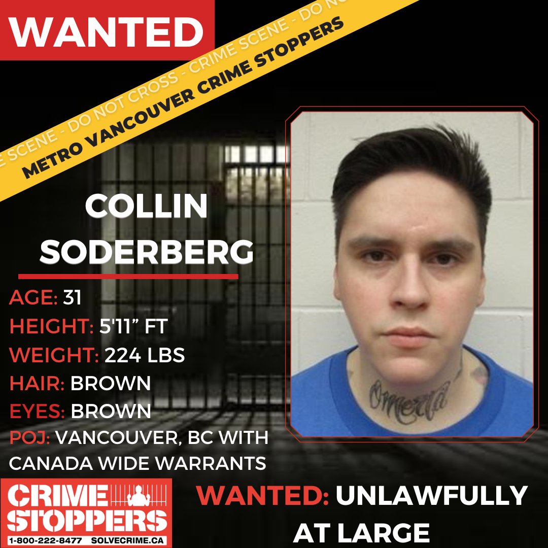 Crime Stoppers tweet media