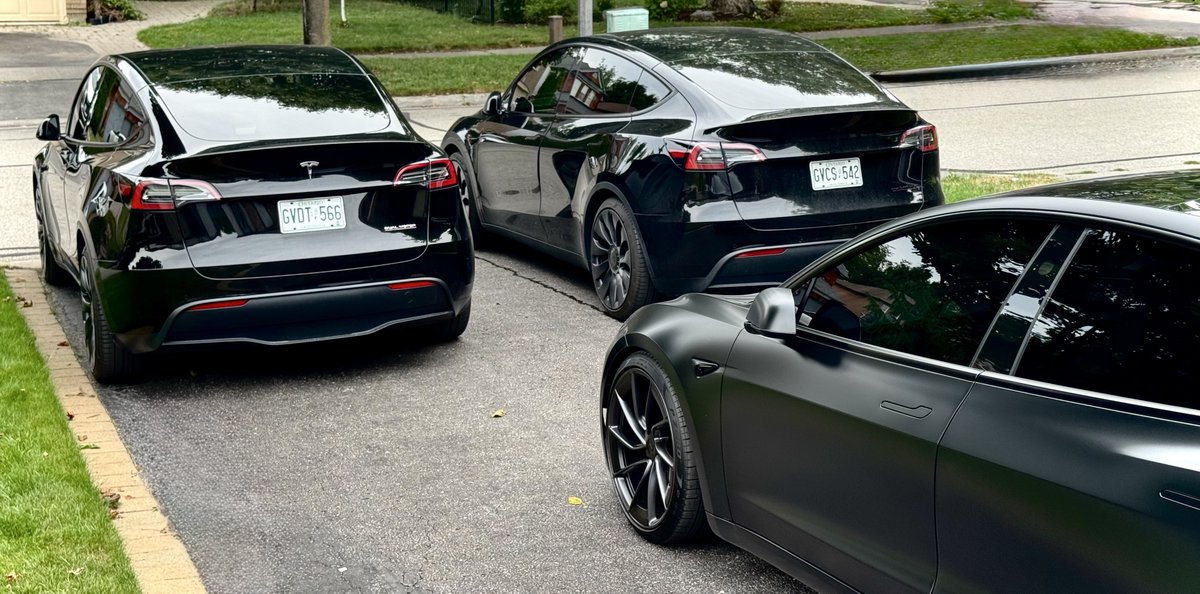 Nic Cruz Patane tweet media