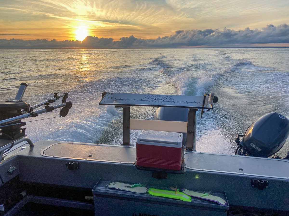 Washington Department of Fish & Wildlife tweet media