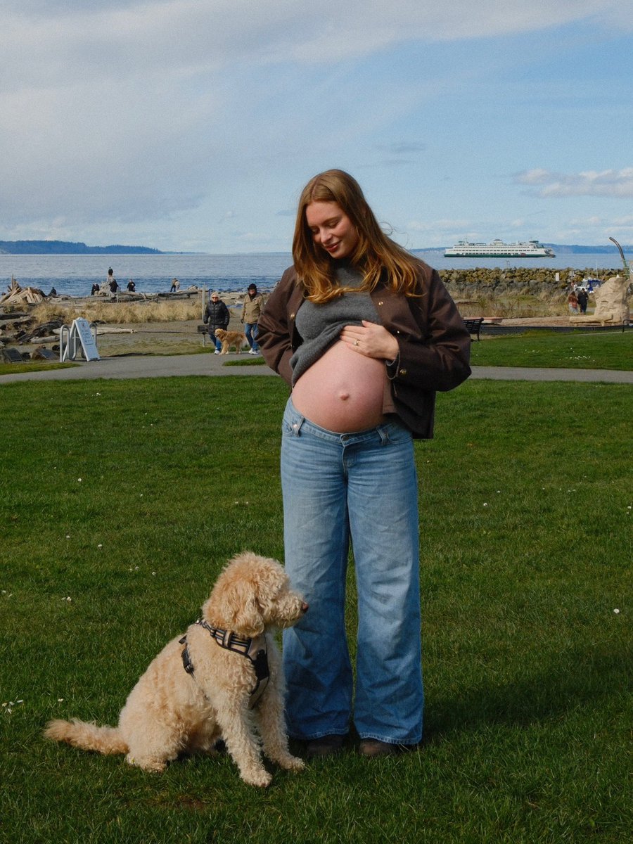 Shay Boloor tweet media