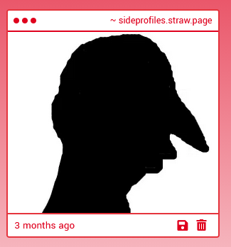 Side profiles for drawing reference tweet media