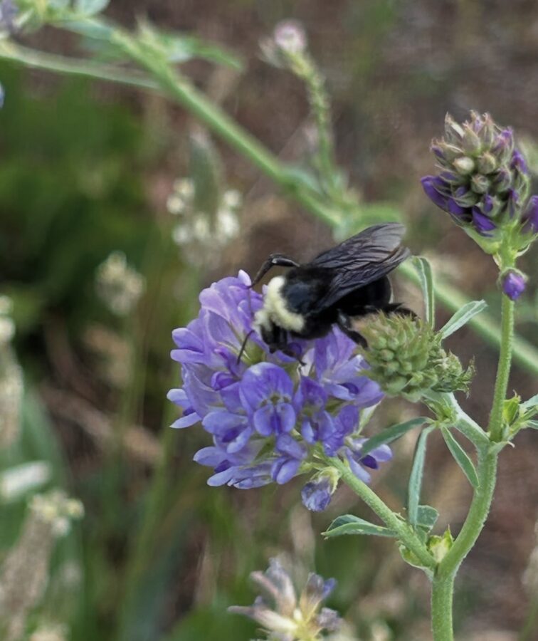 ElsaElsa tweet media