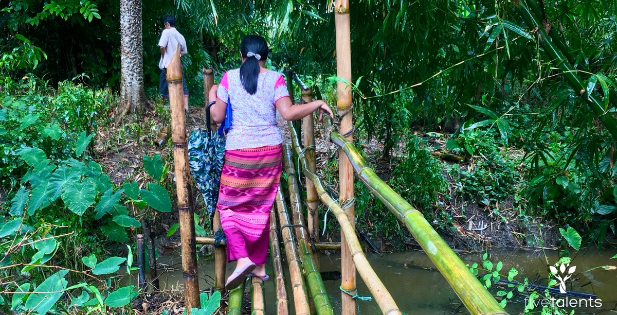 fivetalents tweet media