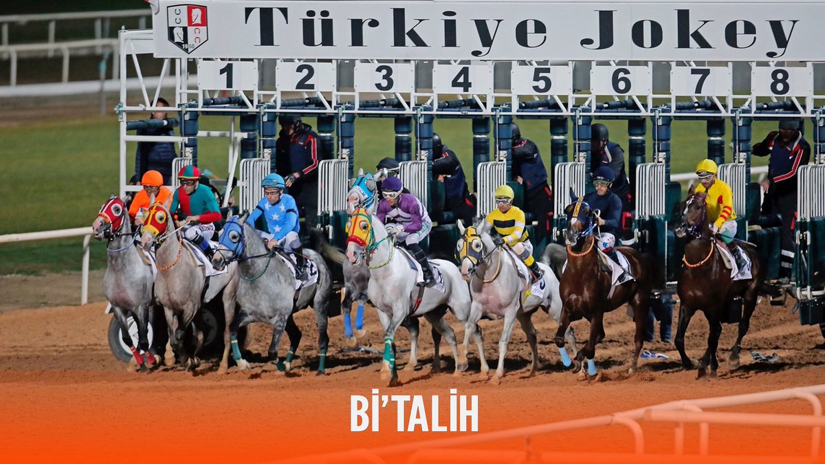 bitalih_tr's tweet photo. Çoğunluğu kır atlardan oluşan 2017 Yeşiloba Koşusu’nu kazanan safkanın adı nedir?🤔

Doğru cevabı yaz, üye numaranla cevapla, 100 TL bonusu kap! 🎉

Not: Kampanyadan sadece doğru cevabı veren İLK 50 @geldibitalih takipçisi ve daha önce en az 1 kere Bi’Talih üyeliğine para yatırma işlemi gerçekleştiren ve çekilebilir bakiye ile Bi’Talih’in sunduğu oyunlardan herhangi birine iştirak eden üyelerimiz etkinlik kapsamında bonus kazanabilir. 
21.03.2026 00:00 - 22.03.2026 23:59 arasında yapılan yorumlar kampanya dahilindedir. 
Kampanyadan hak edilen bonus tutarlar 23.03.2026 Pazartesi günü içerisinde Bi'Talih üyeliklerine yansıyacaktır.