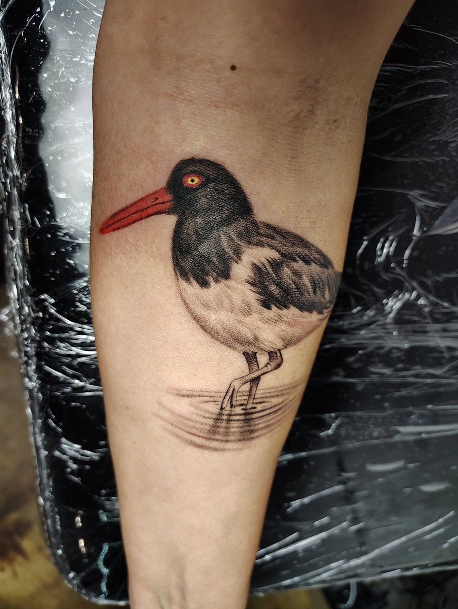 Sunnysideup tweet media