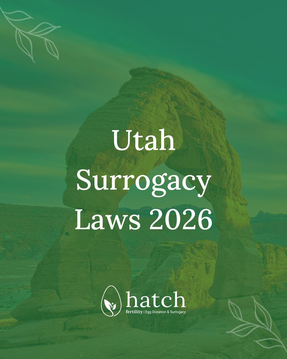 Hatch Fertility - Surrogacy & Egg Donation tweet media
