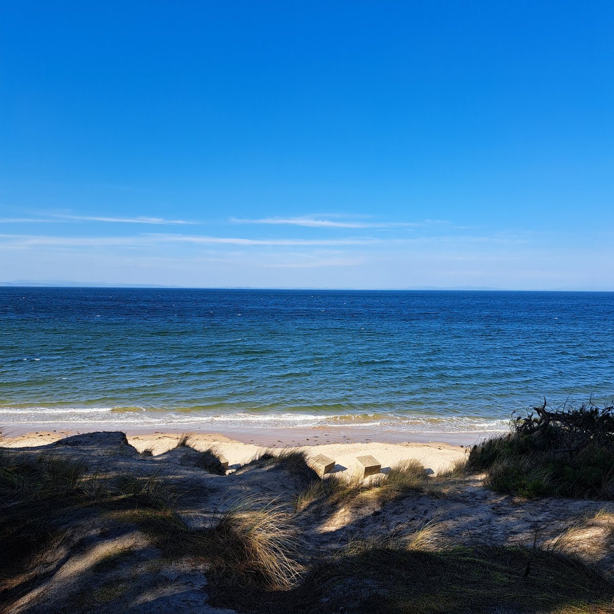 Cherry🩷 tweet media