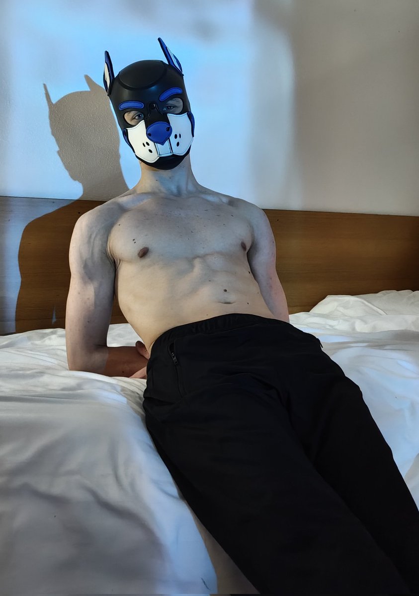 Pup Dutch 🔜 🇬🇧Animalz tweet media